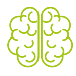  Cáncer Cerebral